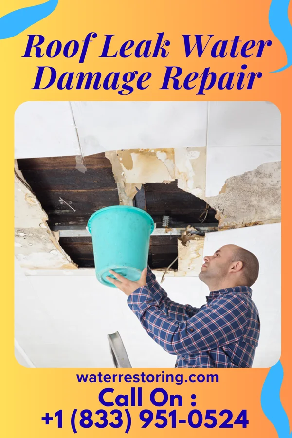 Roof Leak Water Damage Repair in Bluewater, CA